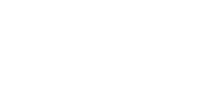 Logo Slider Punta espada white